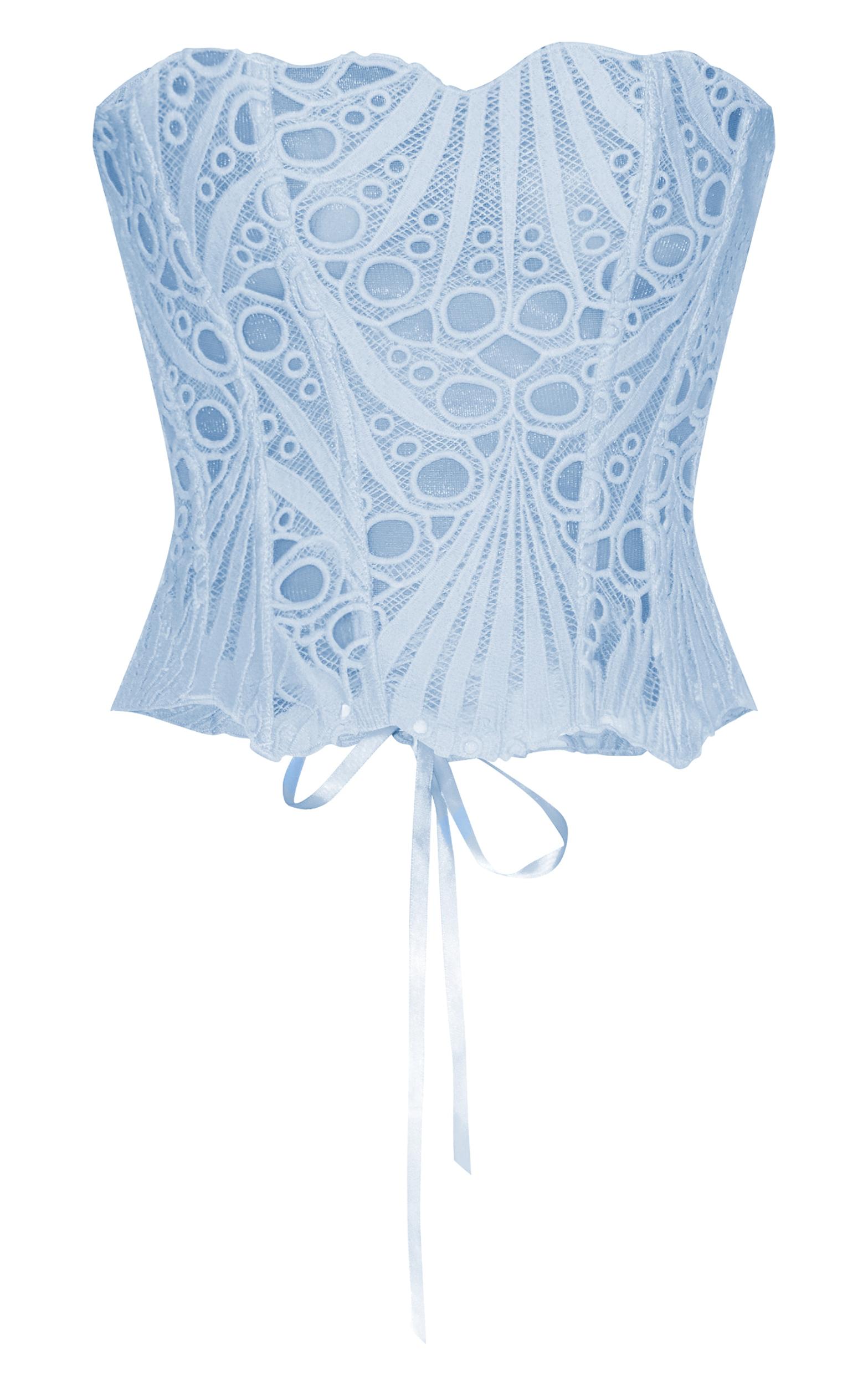 Sky Blue Textured Sheer Floral Lace Corset Product Image