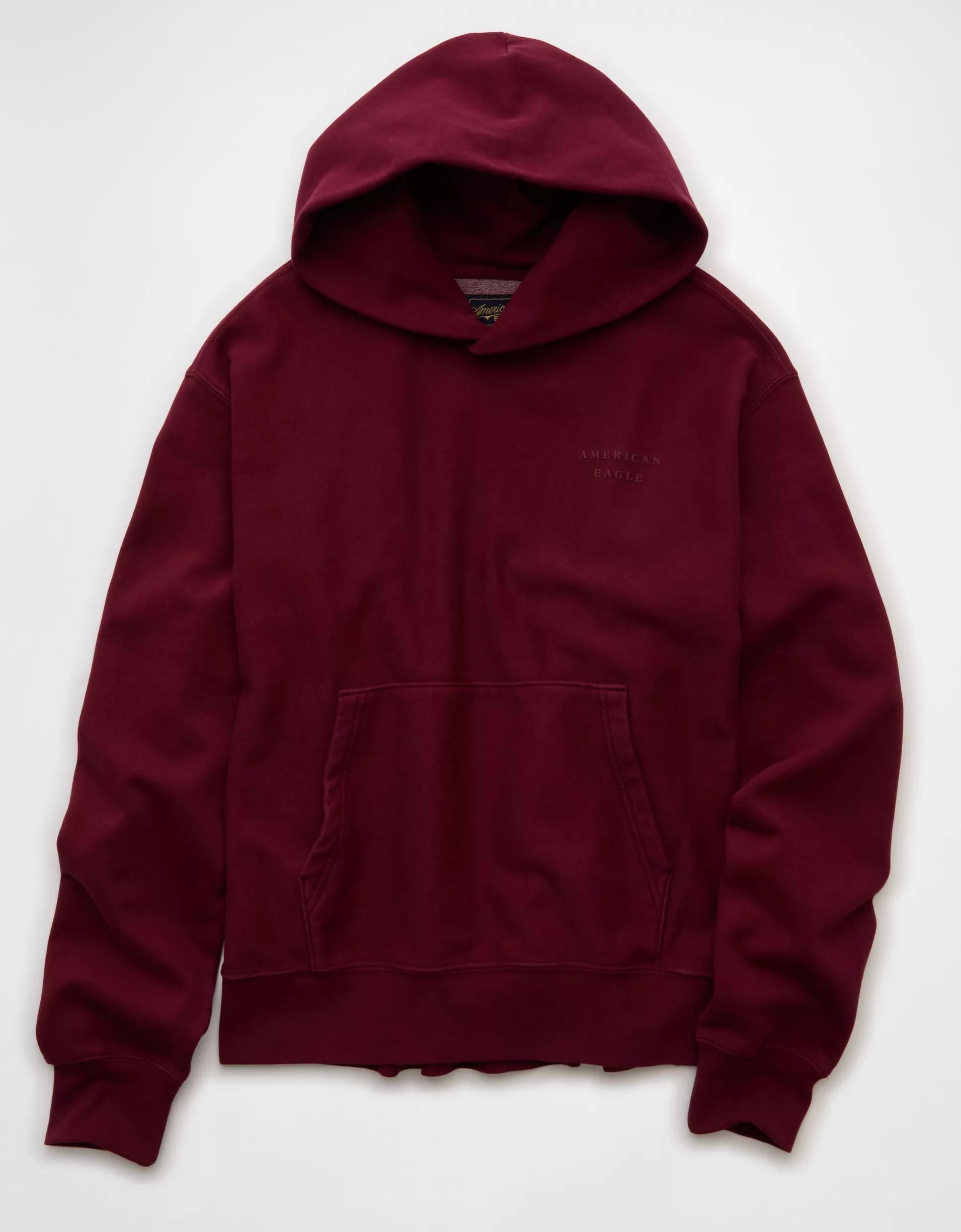 AE Laidback Luxe Heavyweight Graphic Hoodie Product Image