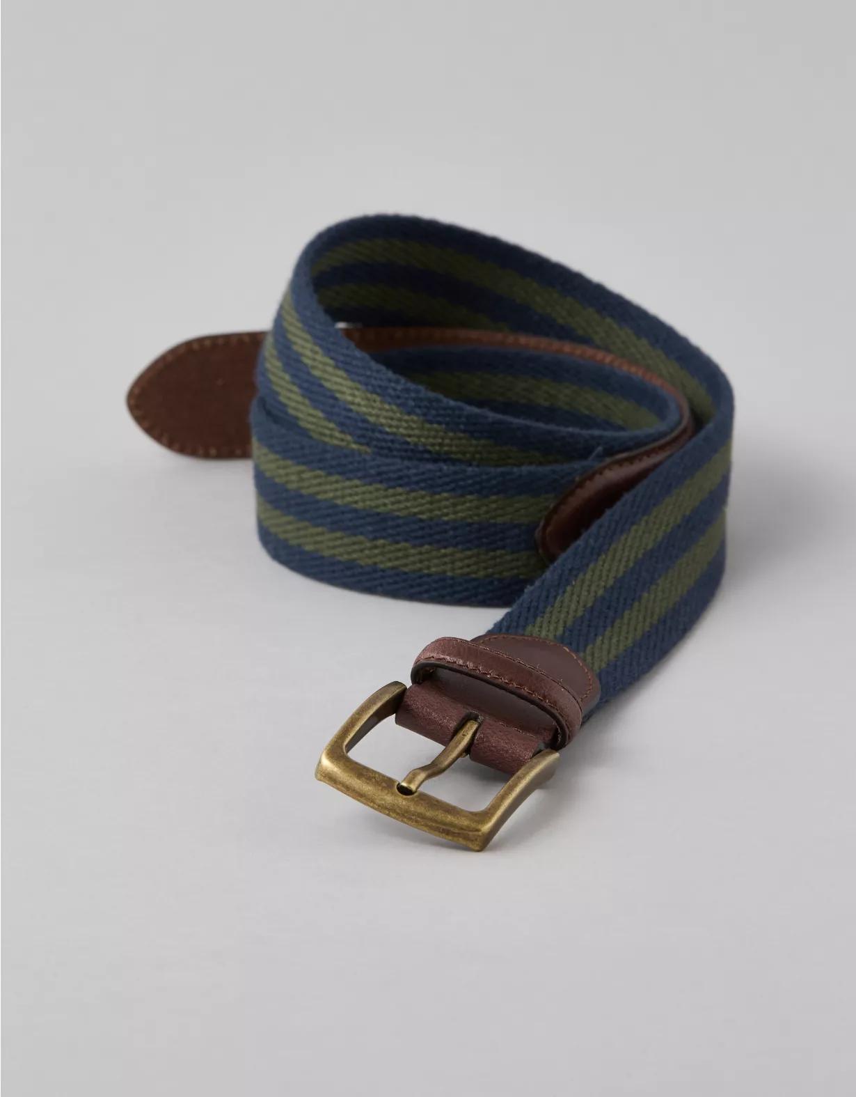 AE Striped Webbed Belt Product Image
