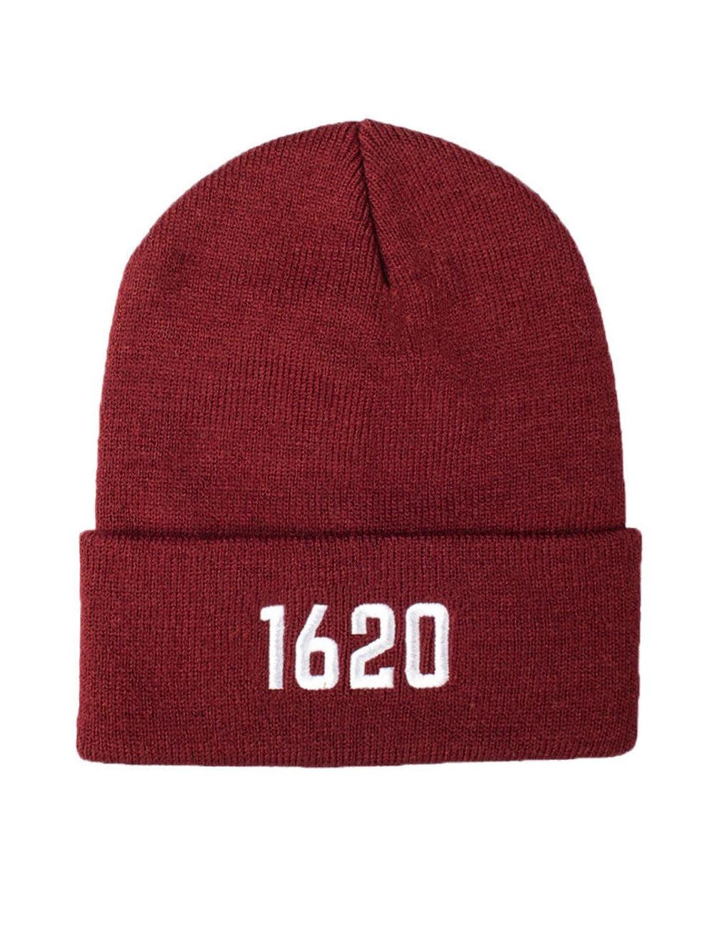 Cuffed Beanie Product Image