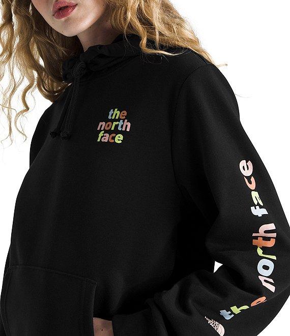 The North Face Evolution Proud Graphic Pullover Hoodie Product Image
