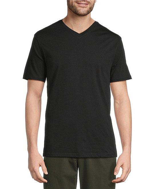 Roundtree & Yorke Big & Tall Solid Cloud Short Sleeve V-Neck T-Shirt Product Image