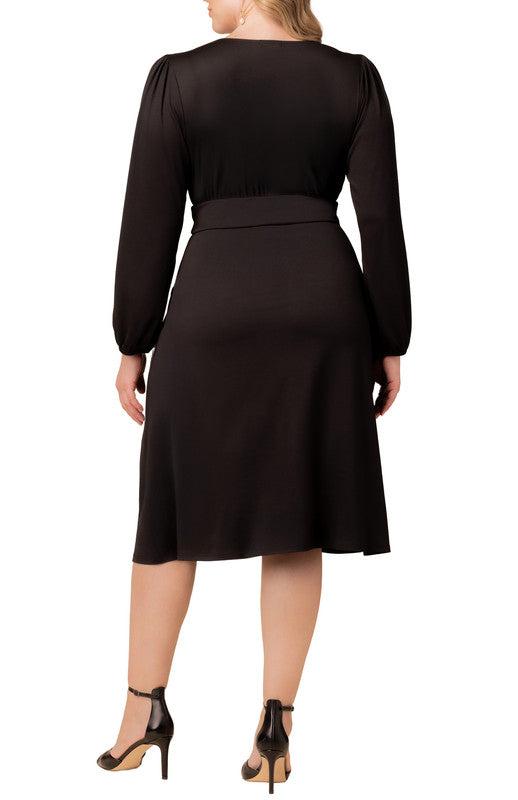 Gemini Wrap Dress - Plus Product Image