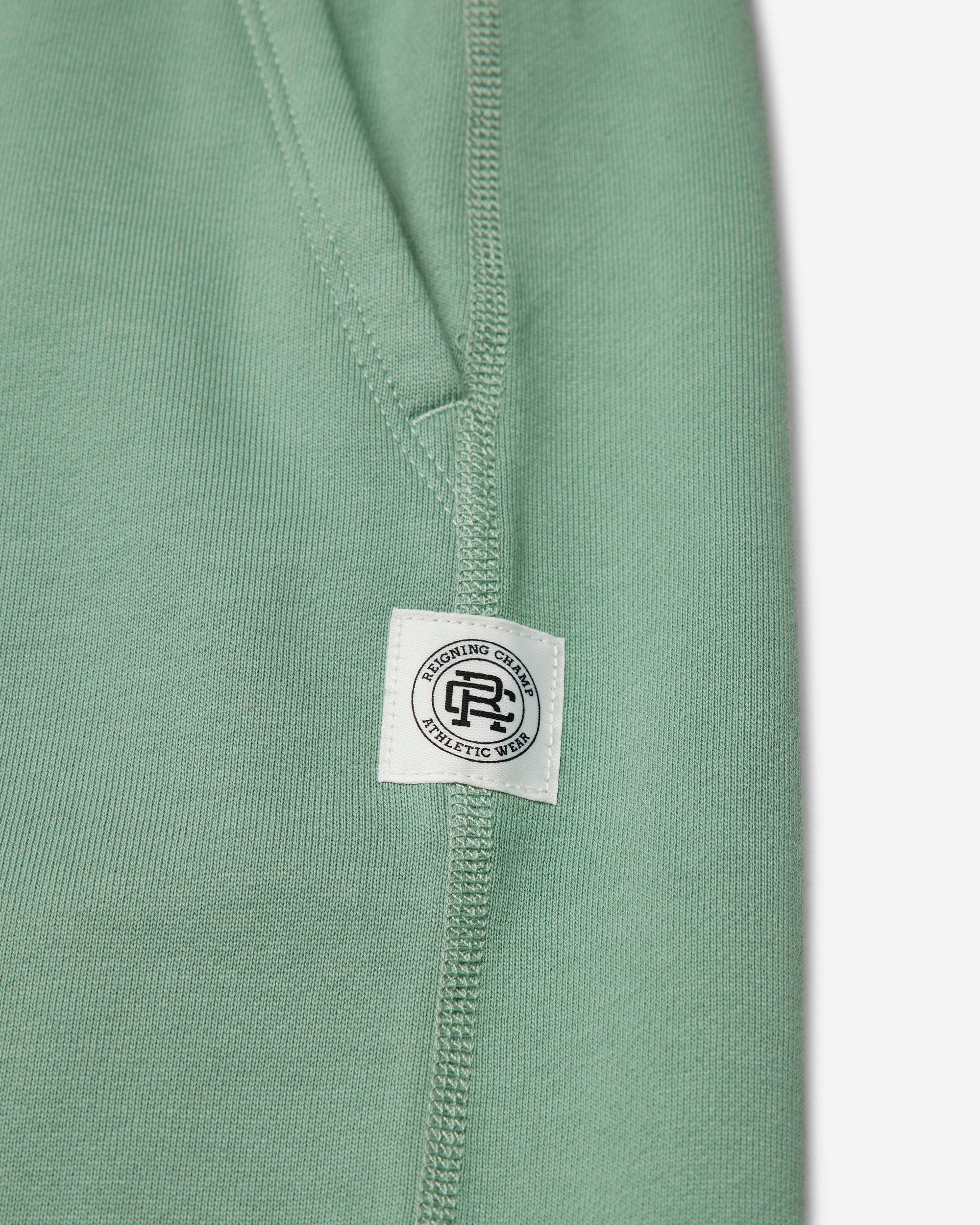 Agolde Ren High Rise Wide Leg Ankle Jean - Sloe Berry Female Product Image