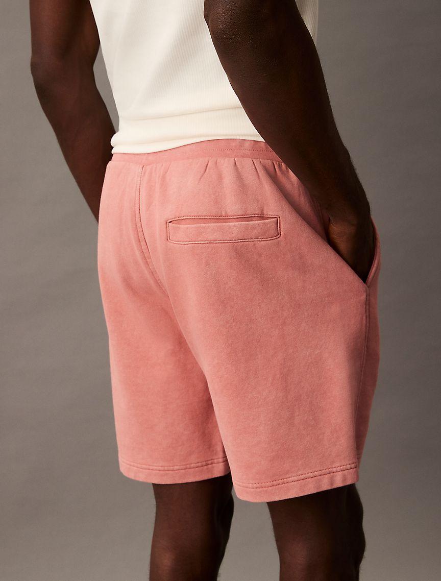 Washed Terry Shorts Product Image