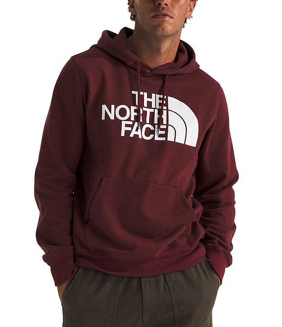 The North Face Half Dome Pullover Graphic Hoodie Product Image