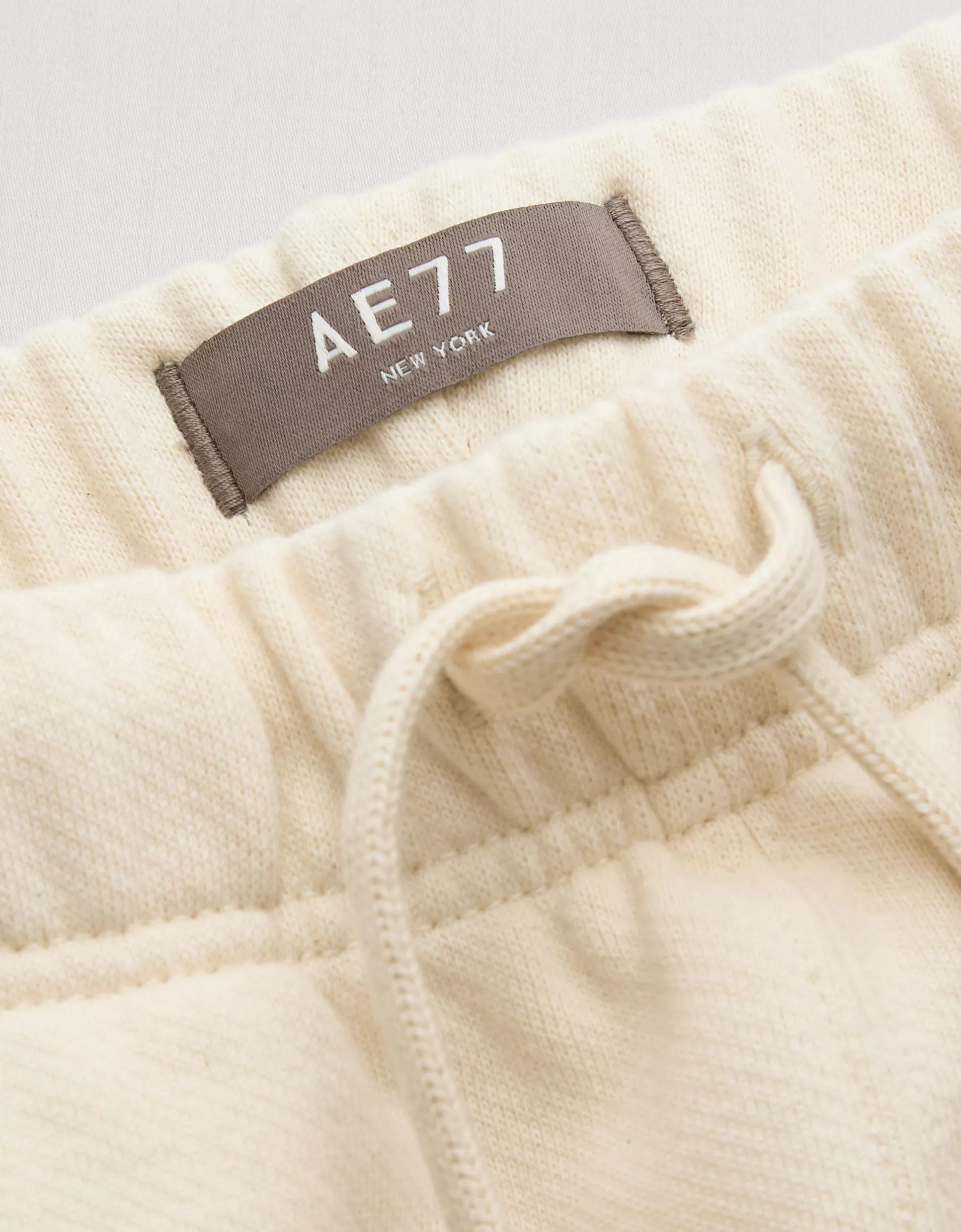 AE77 Premium Fleece Jogger Product Image
