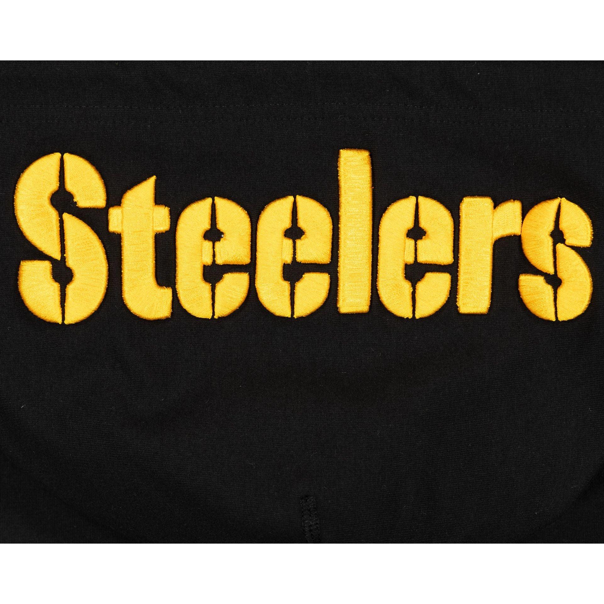 Pittsburgh Steelers Logo Select Hoodie Male Product Image