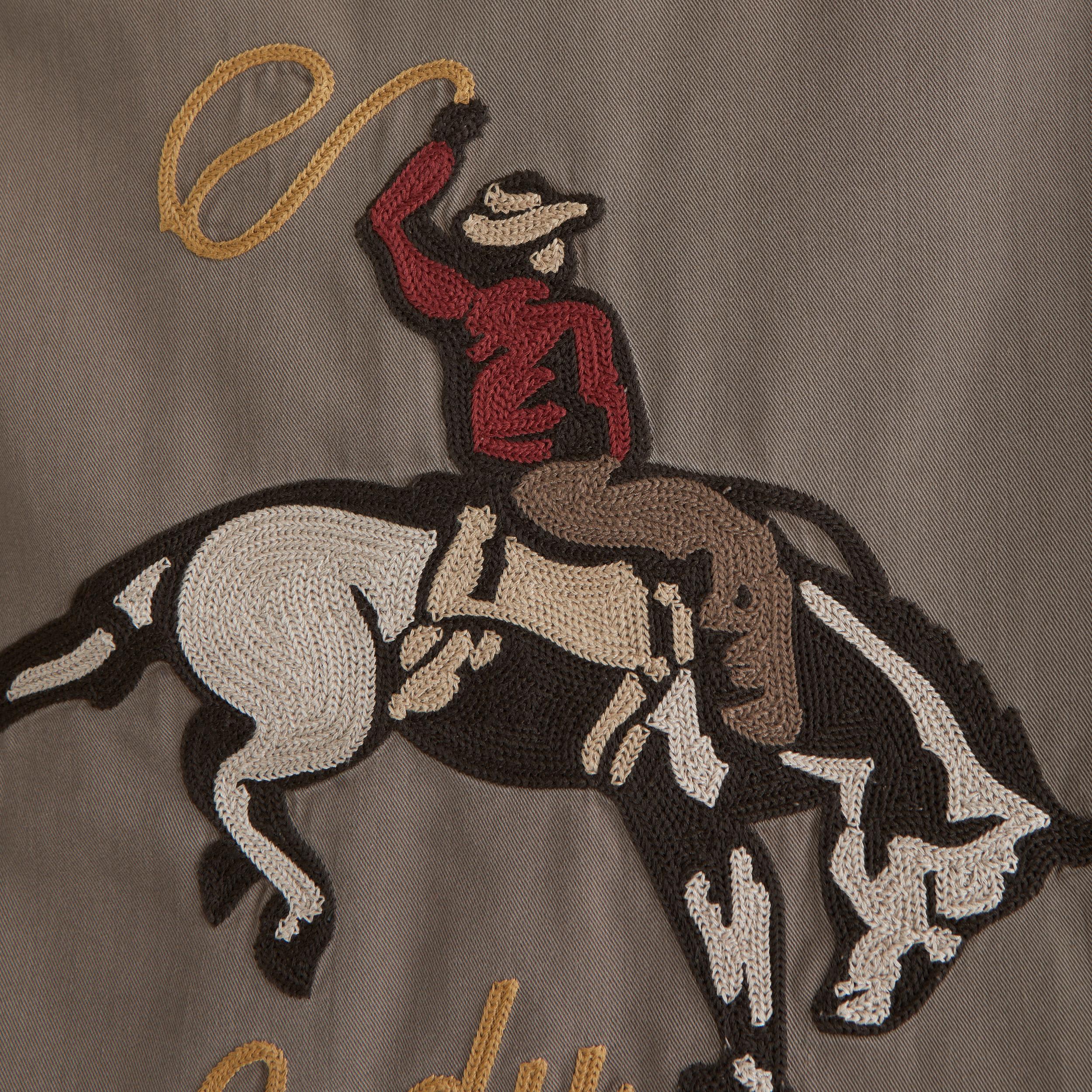 Short-Sleeve Cropped Western Graphic Button-Up Shirt Product Image