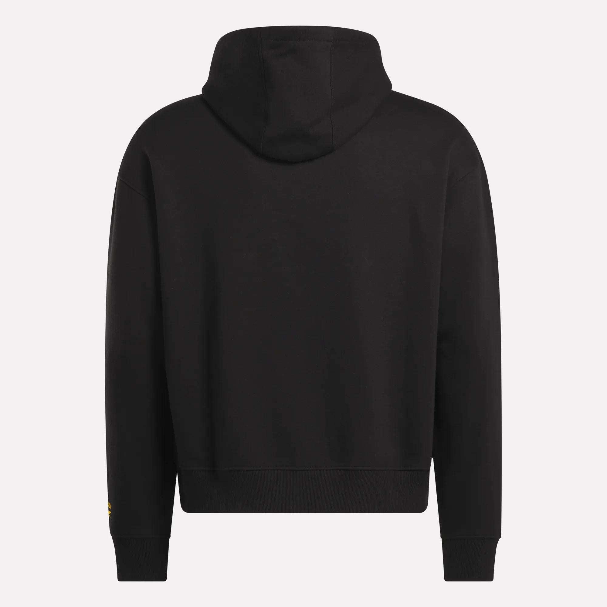 Men's Hoodie Product Image