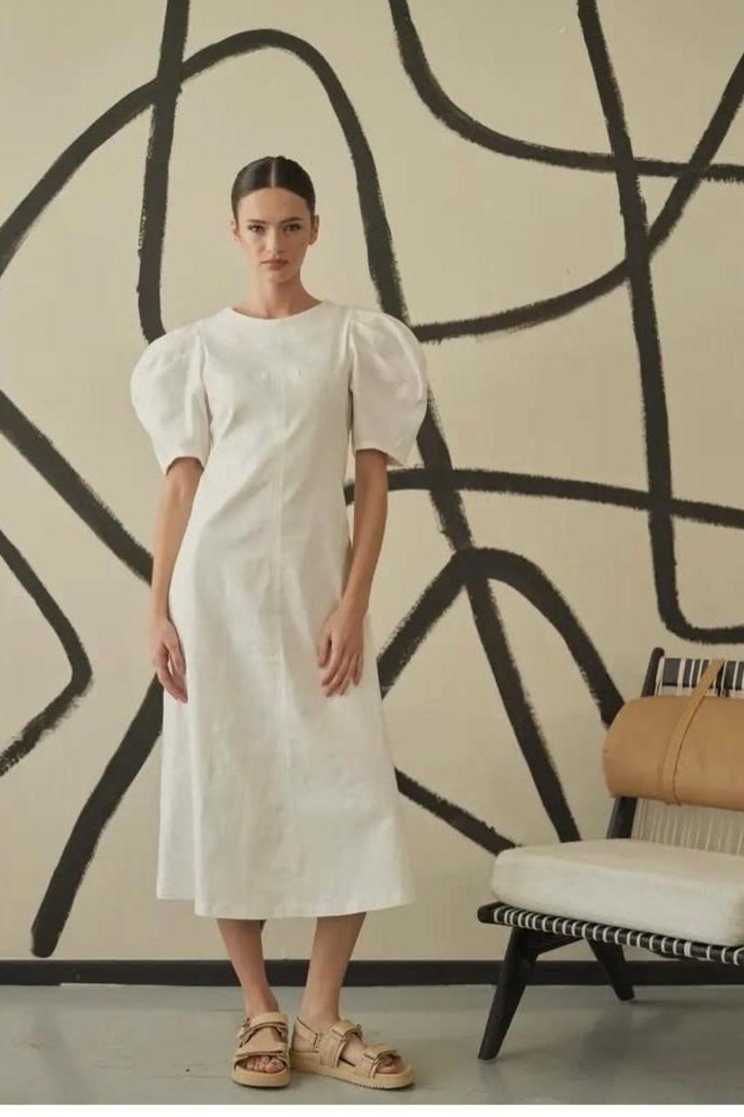 Sadie Puff Sleeve Denim Dress Product Image