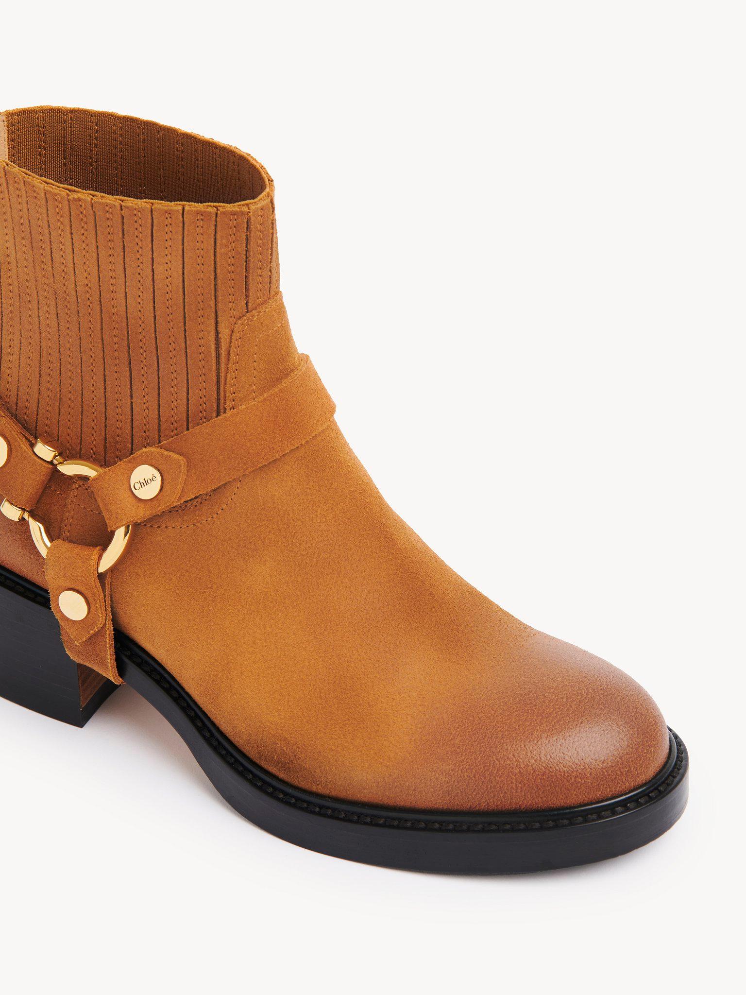 Dakota ankle boot Product Image