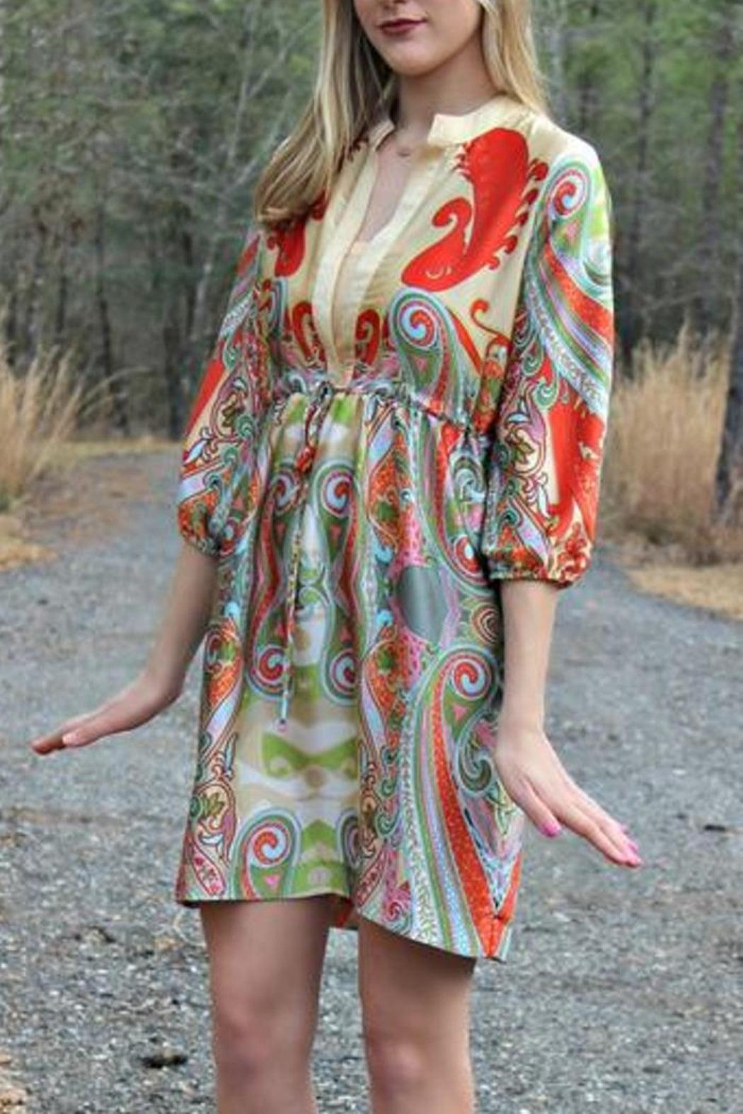 Paisley V-Neck Dress Product Image