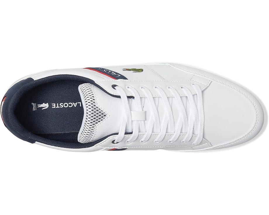 Bayliss Sneakers Product Image