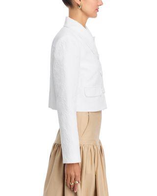 Cropped Collared Jacket  Product Image