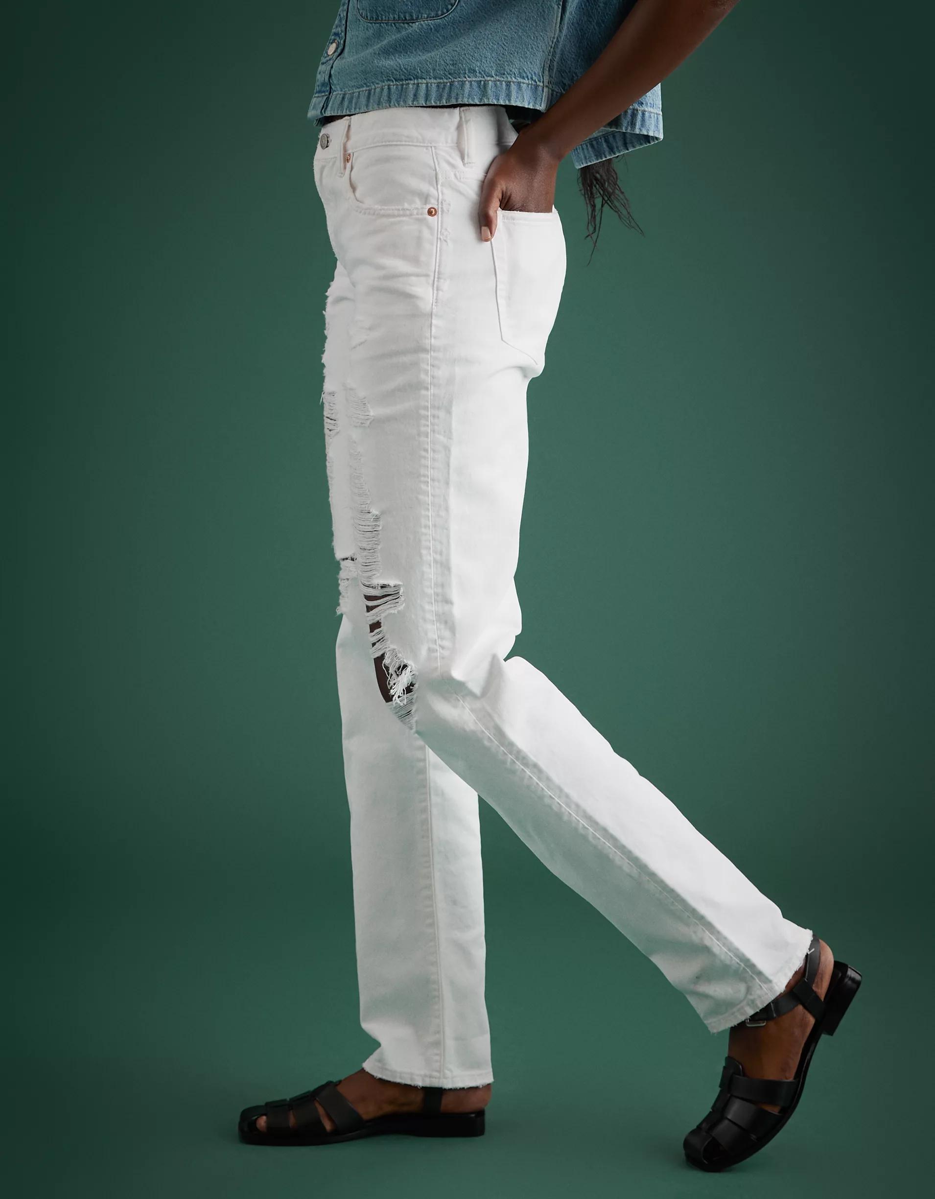 AE77 Premium Slouch Jean Product Image