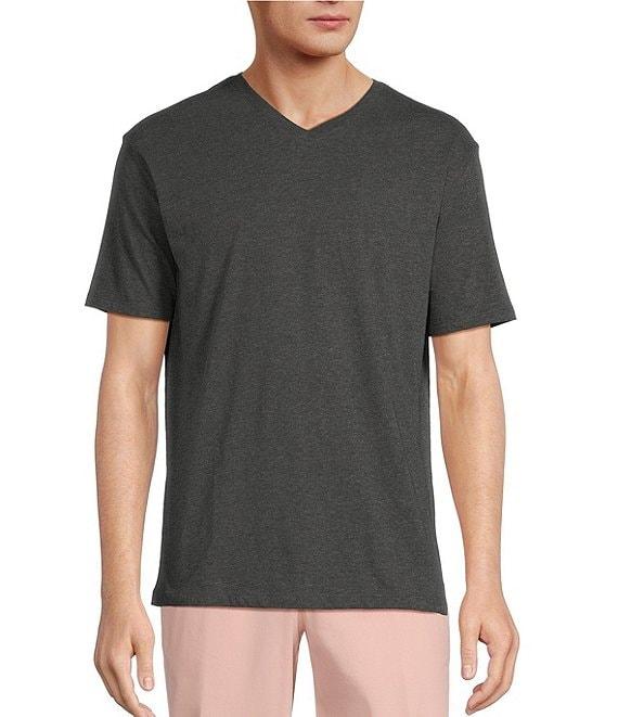 Roundtree & Yorke Solid Cloud Short Sleeve V-Neck T-Shirt Product Image