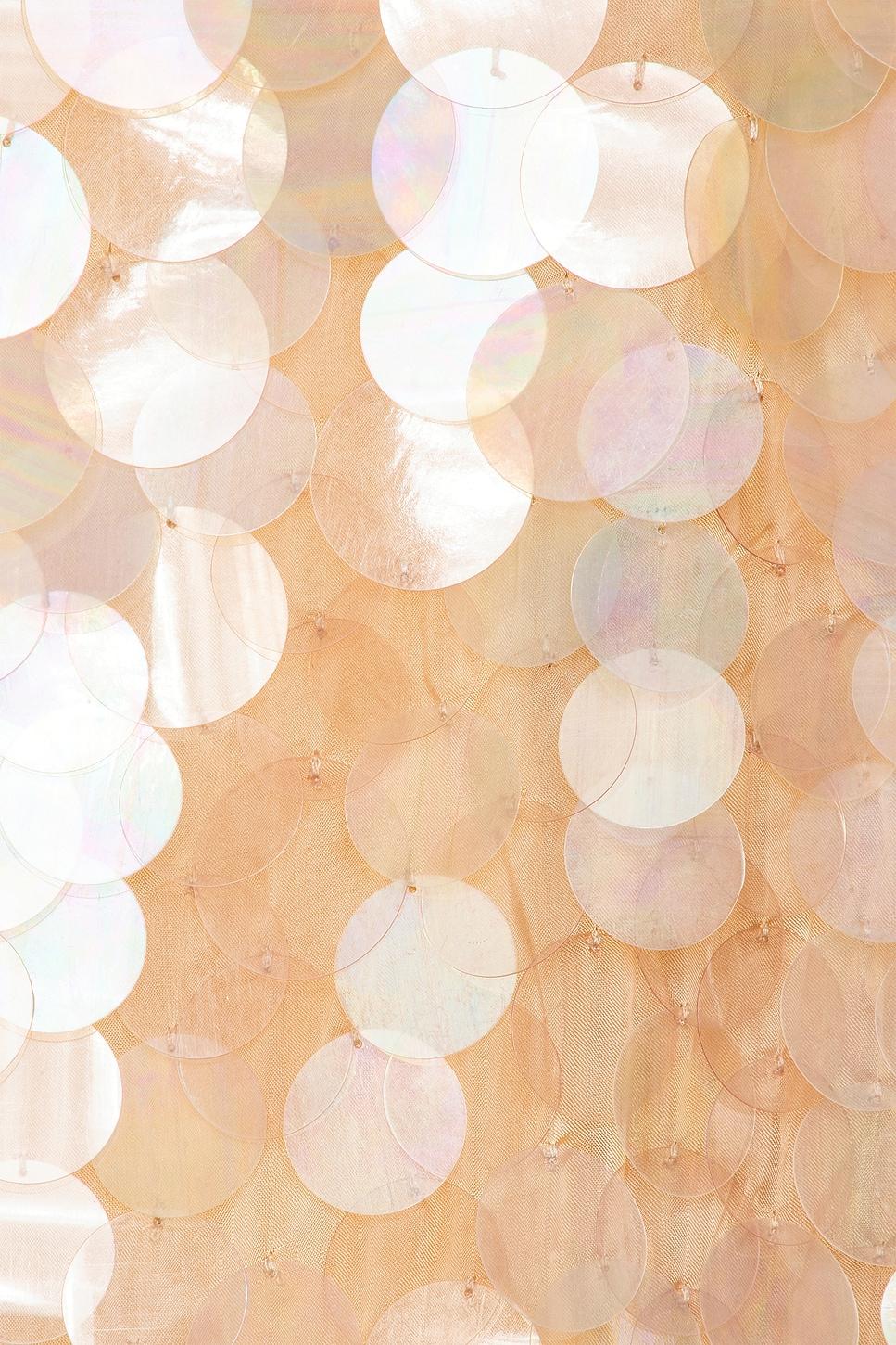 Riley Sequin Skirt retrofete Product Image