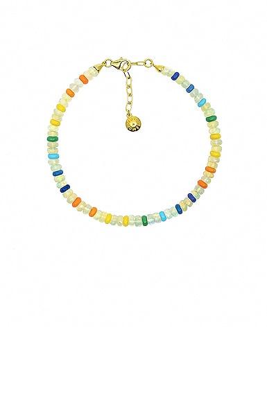 Pina Colada Anklet Product Image