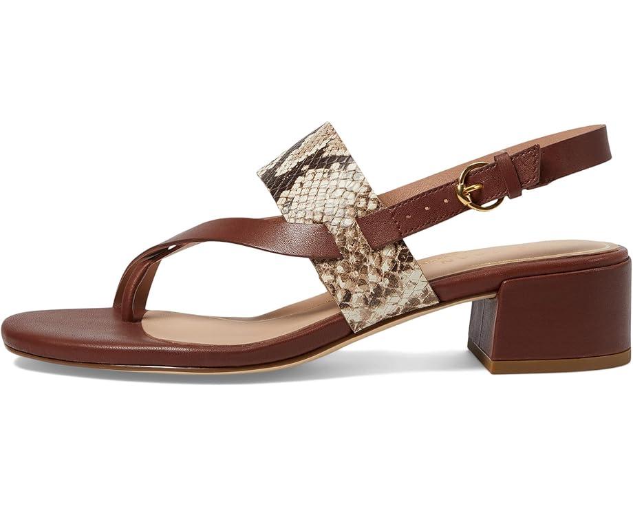 Gayle Thong Sandal Product Image