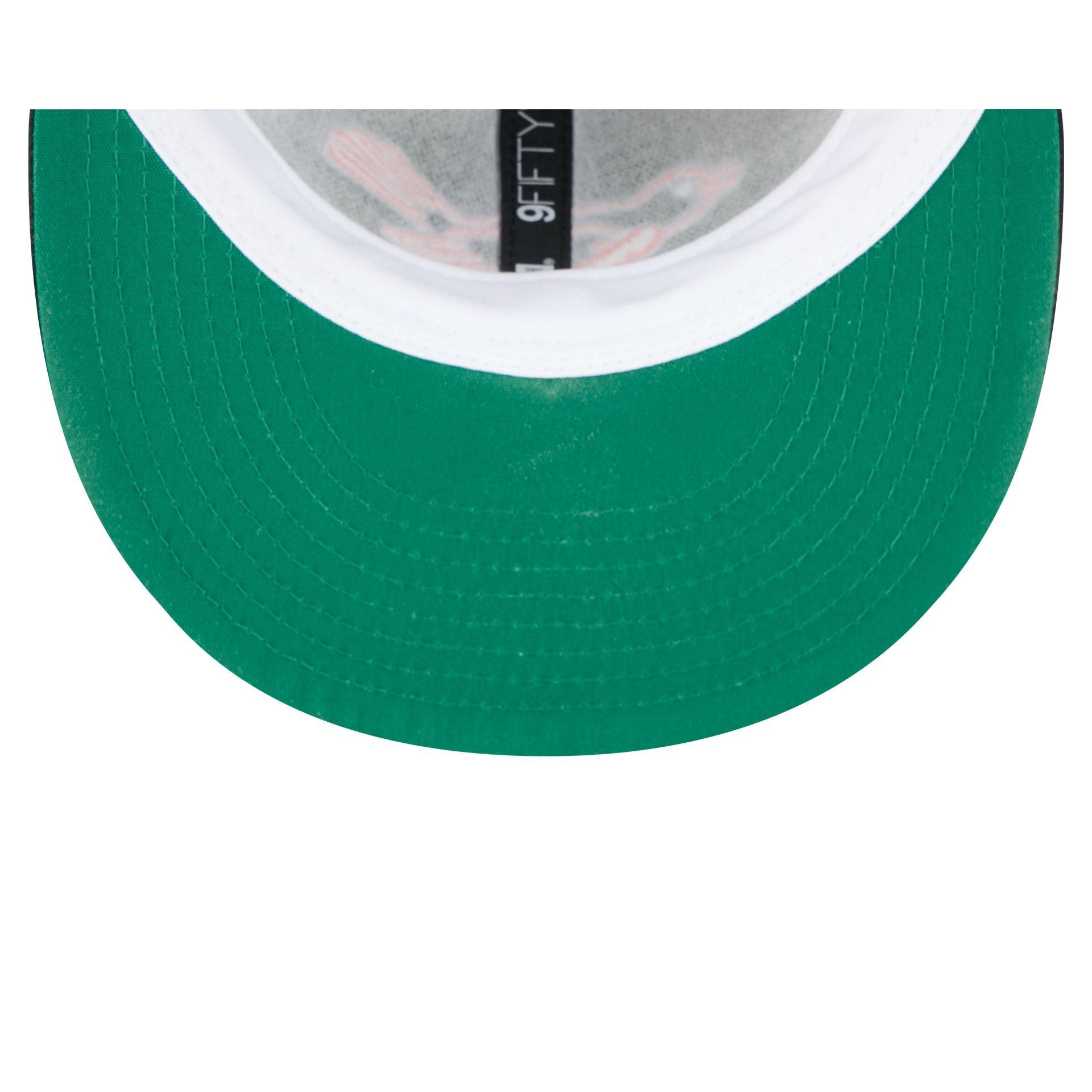 Minnesota Twins Hall of Fame 2025 Retro Crown 9FIFTY Snapback Hat Male Product Image