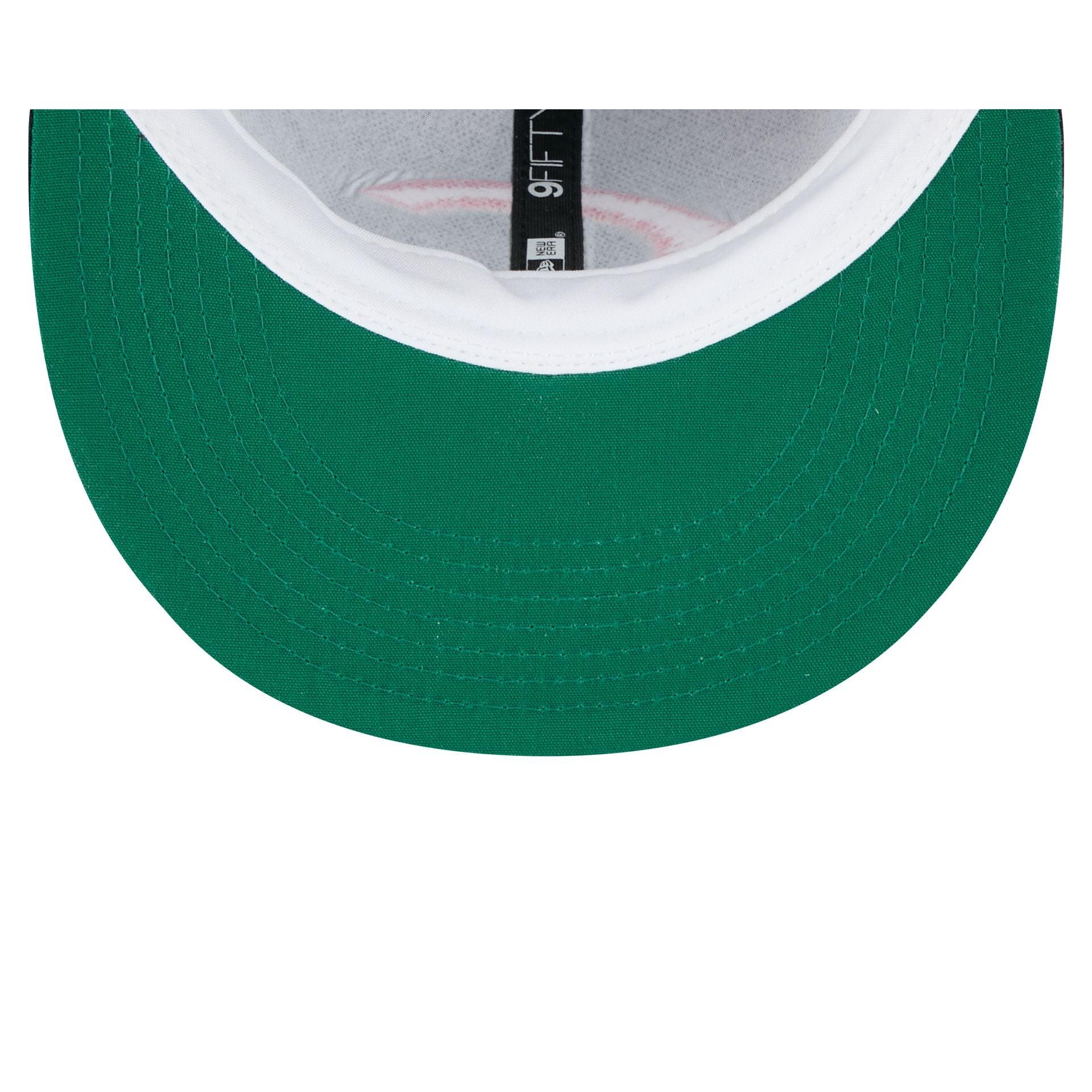 Minnesota Twins Hall of Fame 2025 Retro Crown 9FIFTY Snapback Hat Male Product Image