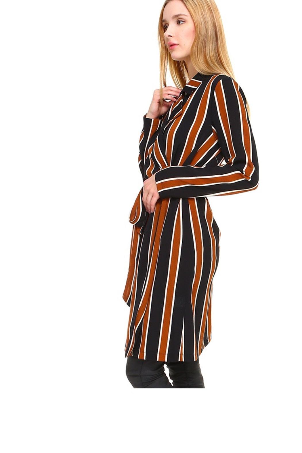 Trench Coat Multi Stripe Long Line Belted Jacket Product Image