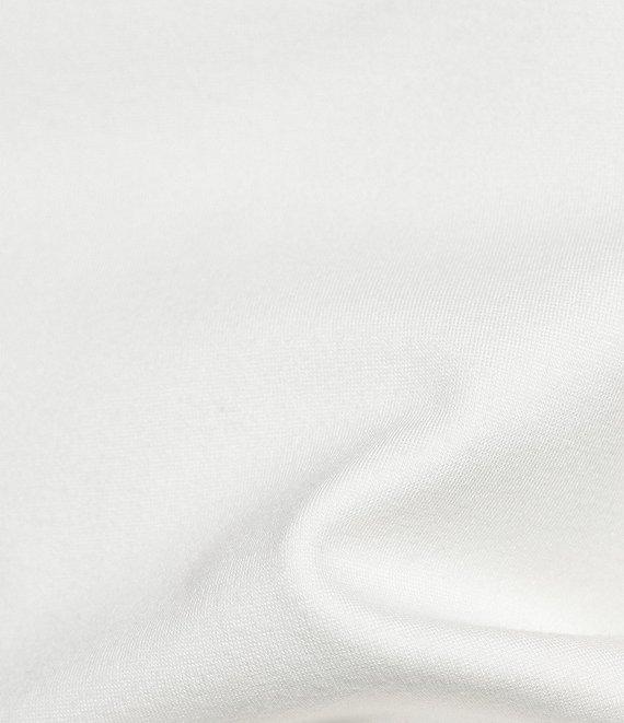 FRANCES VALENTINE Stretch Knit Crew Neck Long Sleeve Ballet Top Product Image