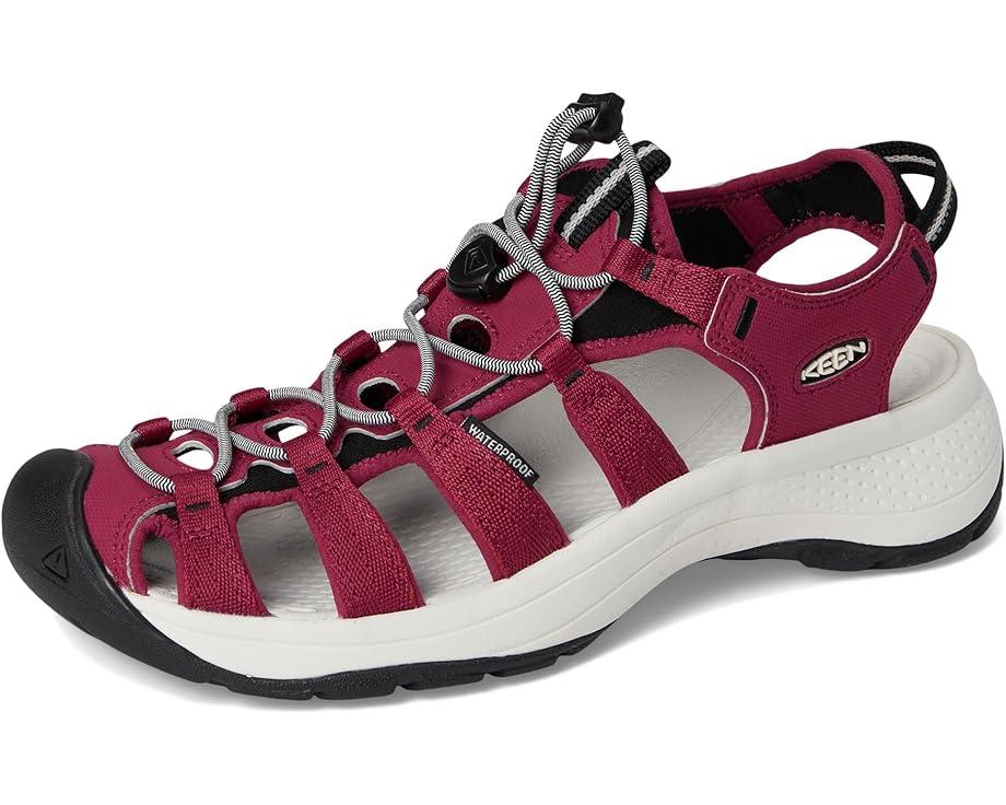 Newport H2 Product Image