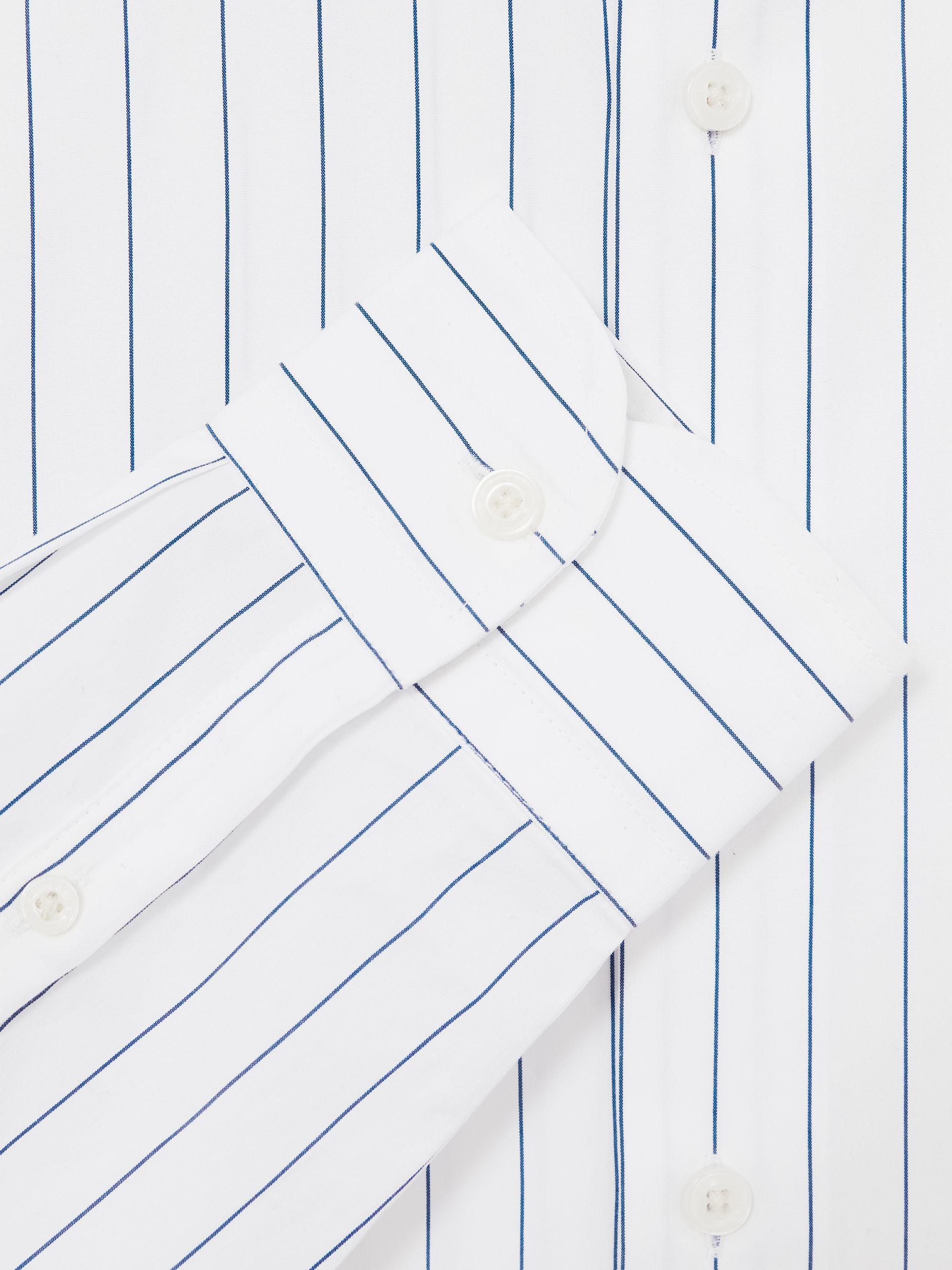Cotton Cutaway Collar Stripe Shirt in Blue/White Product Image