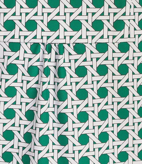 Jude Connally Kerry Petite Rattan Print Split V-Neck 3/4 Bell Sleeve Knit Shift Dress Product Image