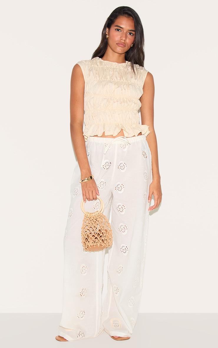 Almond Shirred Boatneck Fitted Top Product Image