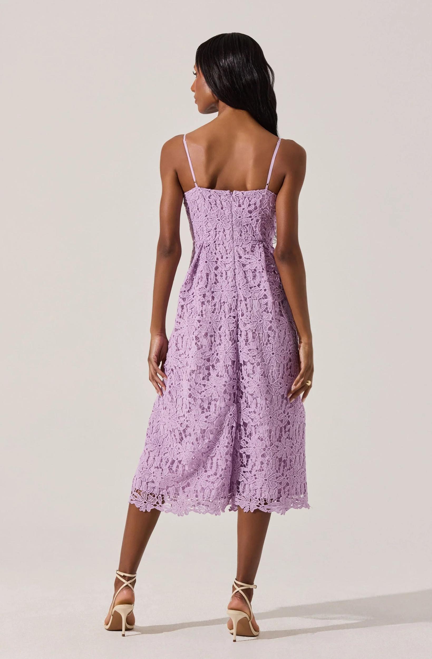 Lace Fit & Flare Dress Product Image