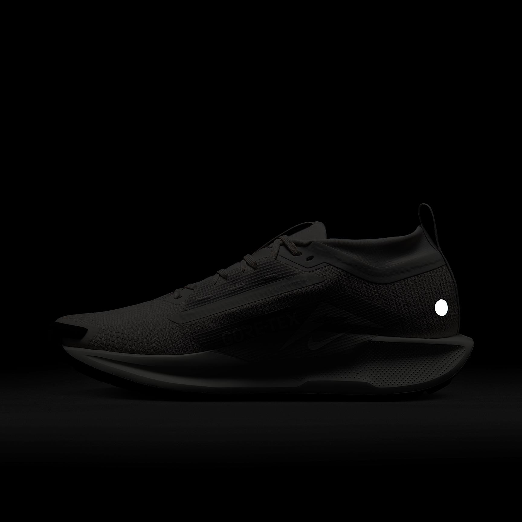 Nike Mens Pegasus Trail 5 GORE-TEX Waterproof Trail Running Shoes | FQ0908-010 Product Image