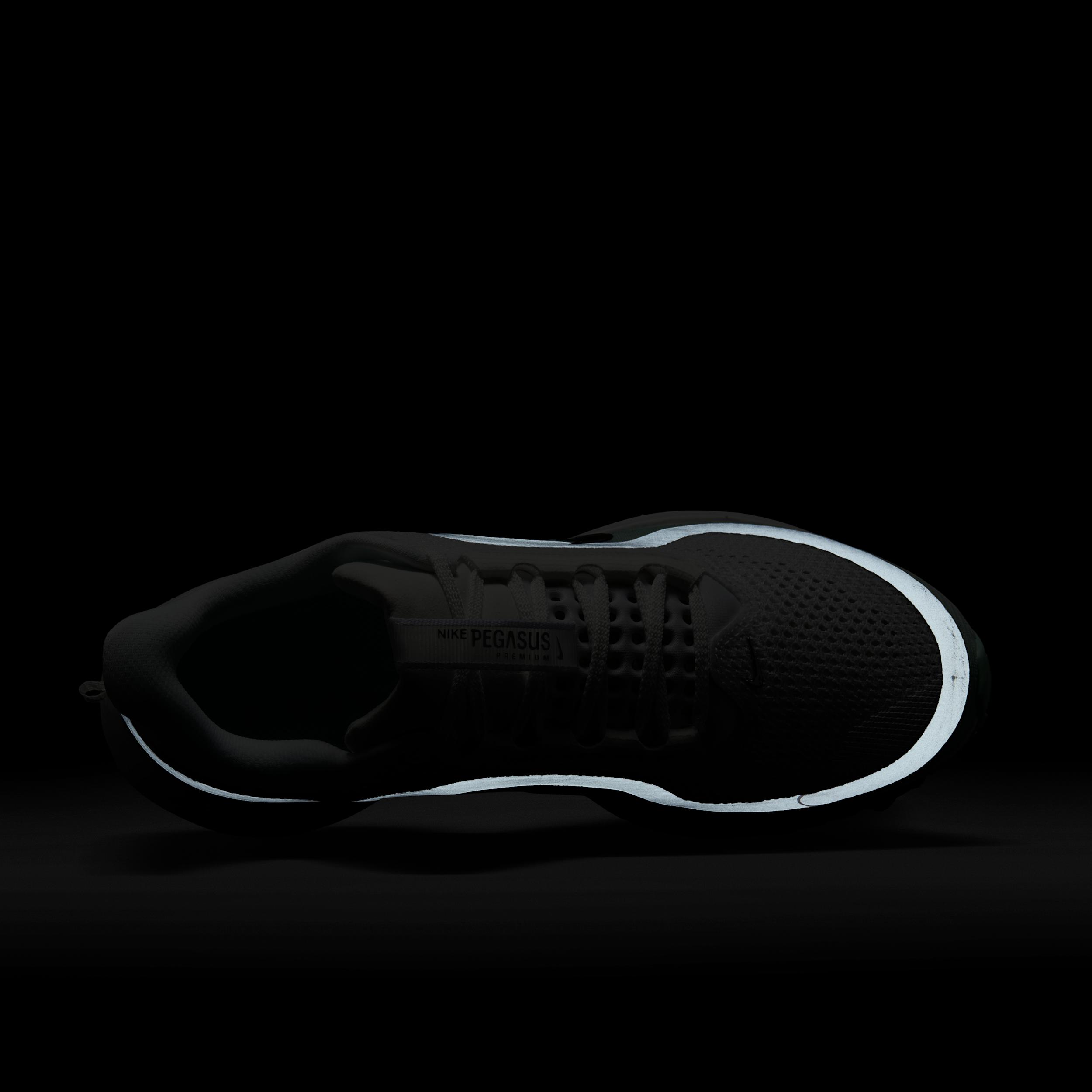 Nike Womens Pegasus Premium Road Running Shoes | HQ2593-101 Product Image