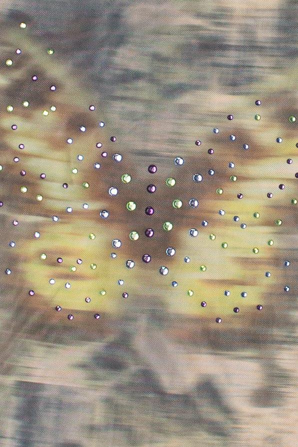 Mesh Rhinestone Butterfly Tee Product Image