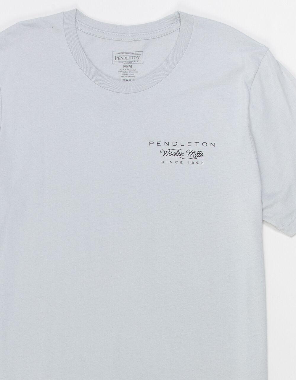 PENDLETON Desert Sunset Mens Tee - GRAY Product Image