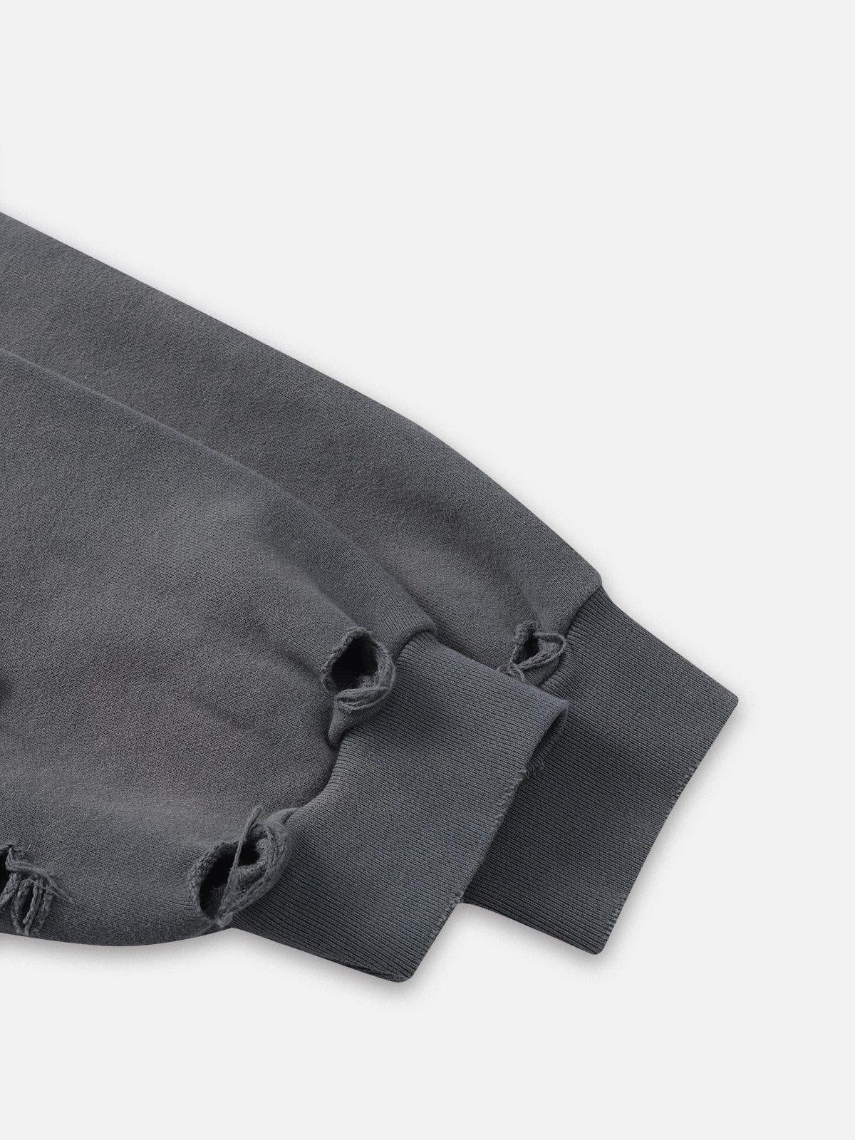 Aelfric Eden Oversized Distressed Zip-Up Hoodie Product Image