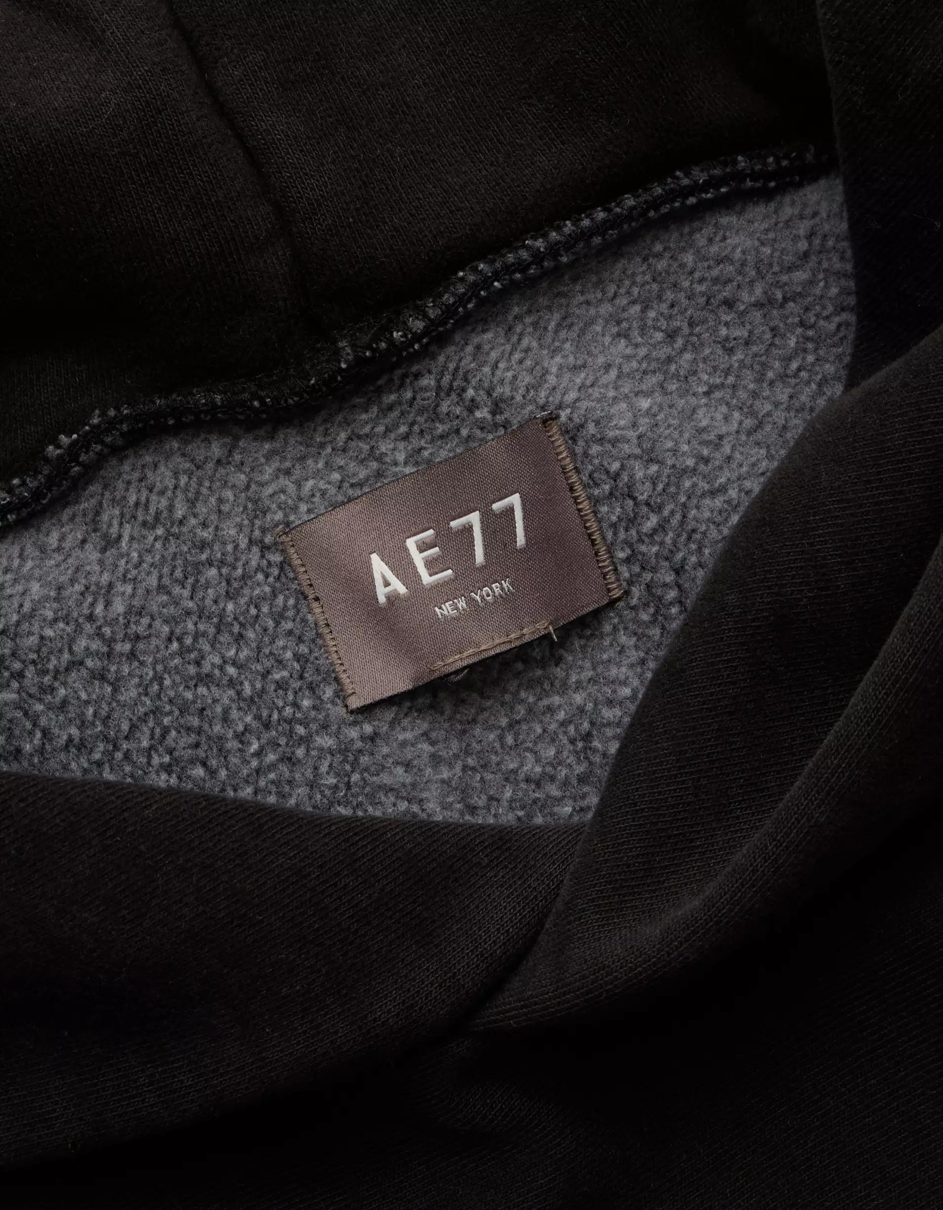 AE77 Premium Cropped Hoodie Product Image