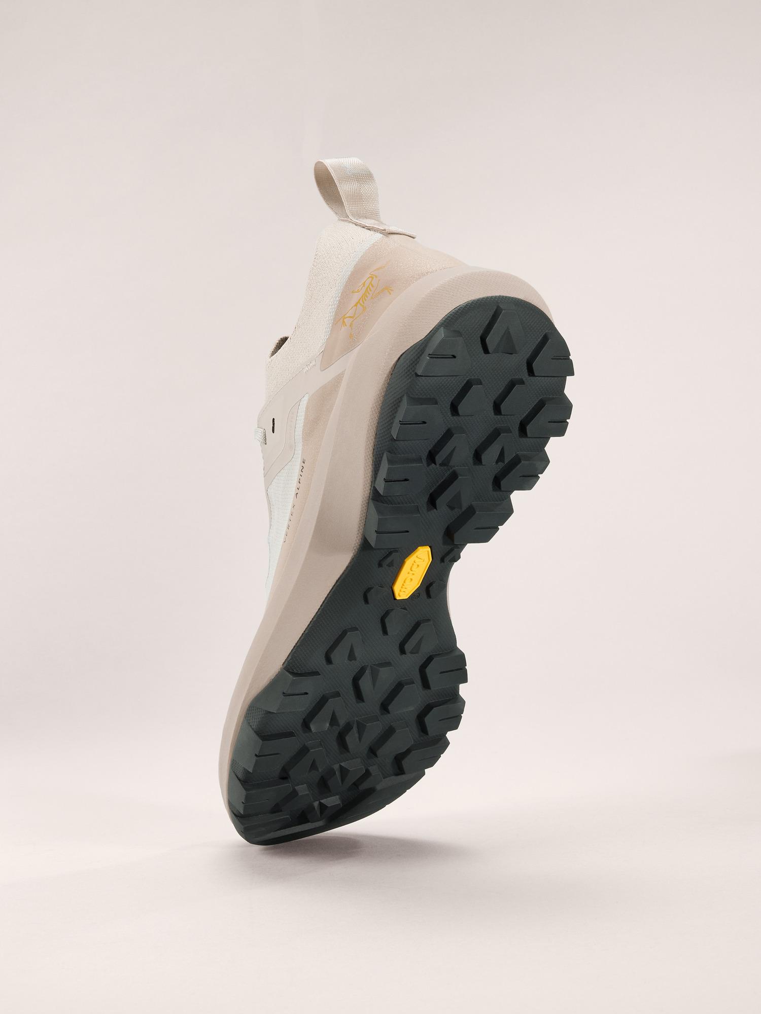 Vertex Alpine GTX Shoe Men's Product Image