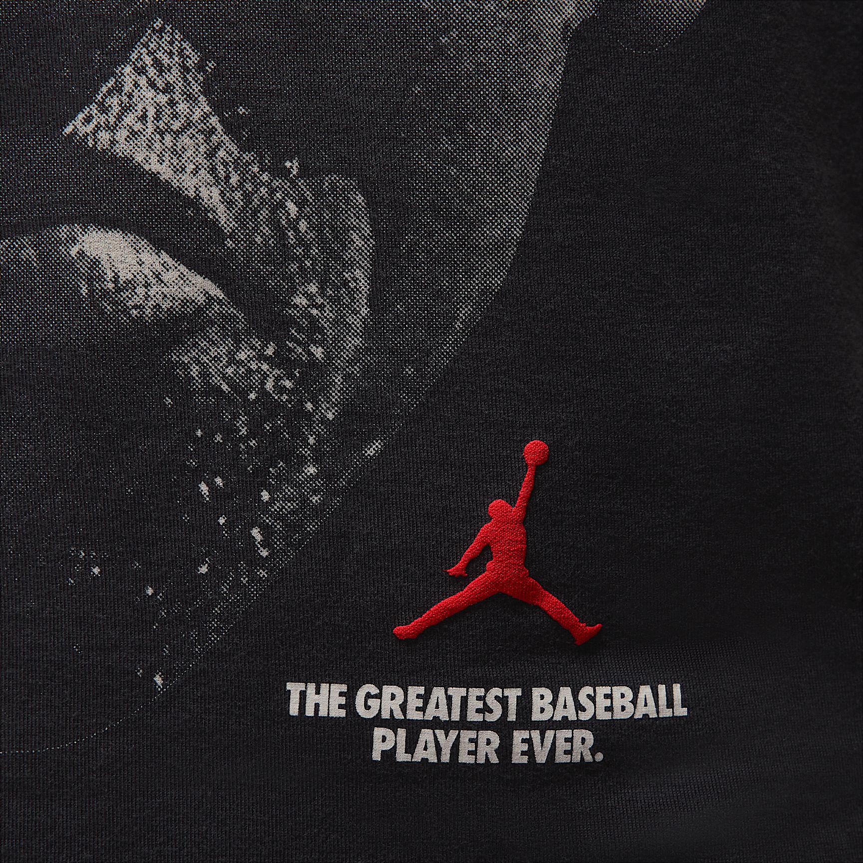 Mens Jordan Crew-Neck T-Shirt | IF2950-045 Product Image