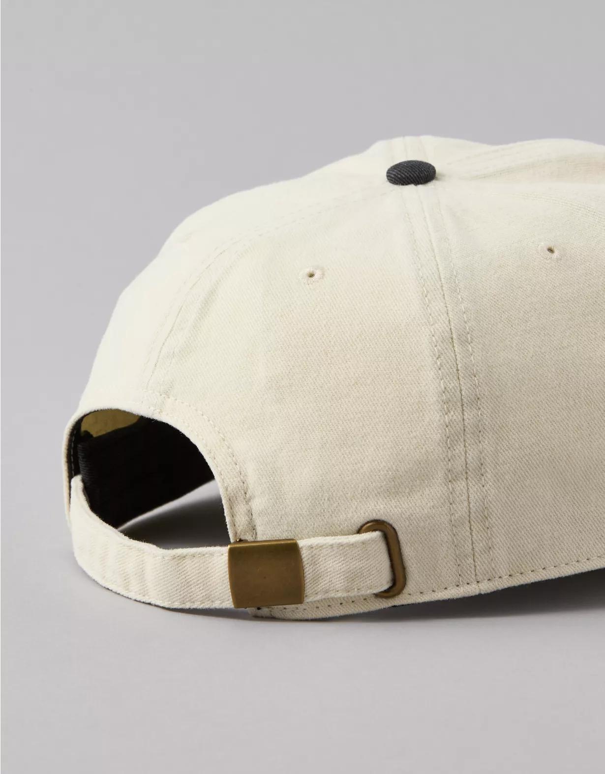 AE Logo Baseball Hat Product Image