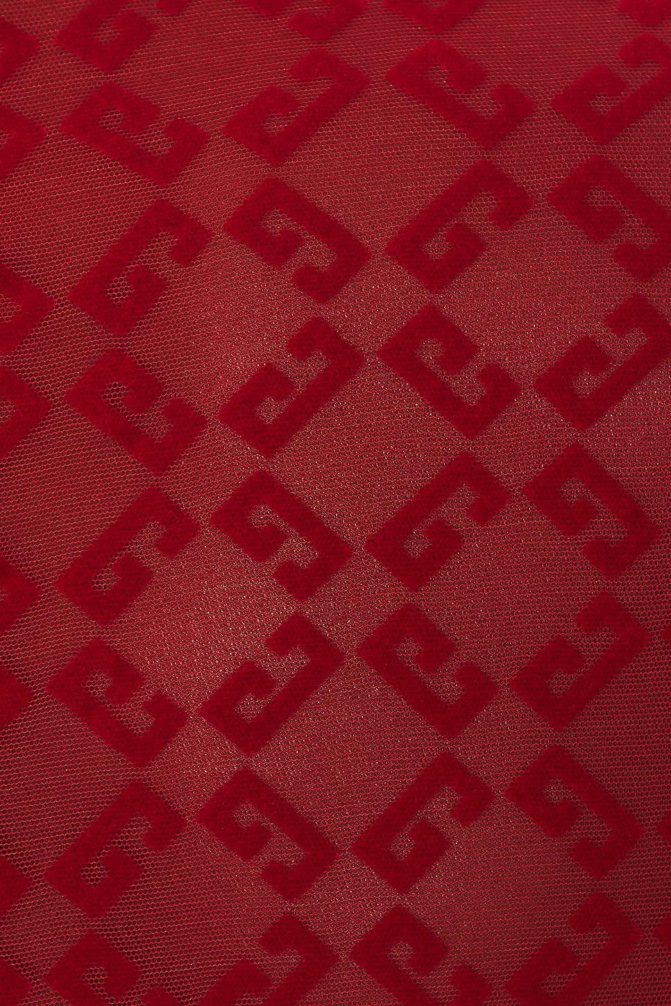 Sheer Long Sleeve Top Product Image