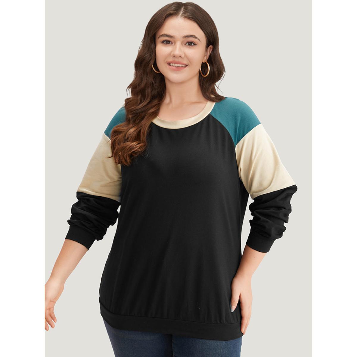 Plus Size Colorblock Contrast Raglan Sleeve Sweatshirt Women Black Casual Elastic cuffs Round Neck Dailywear Sweatshirts BloomChic 26/4X Product Image