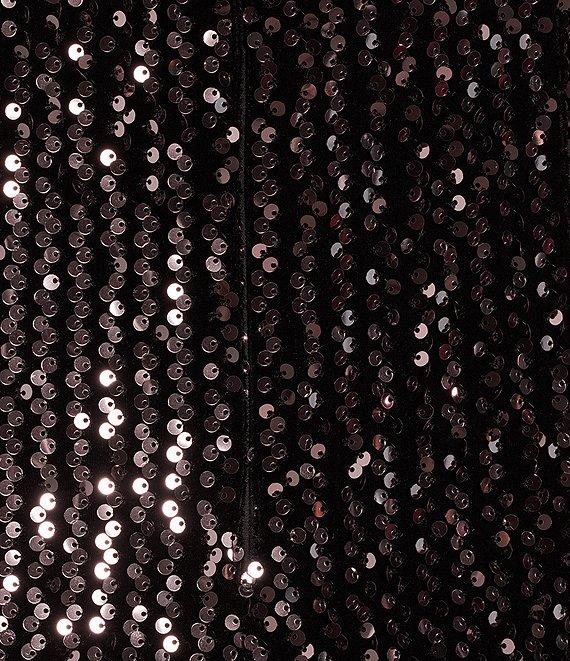 Ignite Evenings Plus Size Velvet Sequin Crew Neck 3/4 Sleeve Sheath Dress Product Image