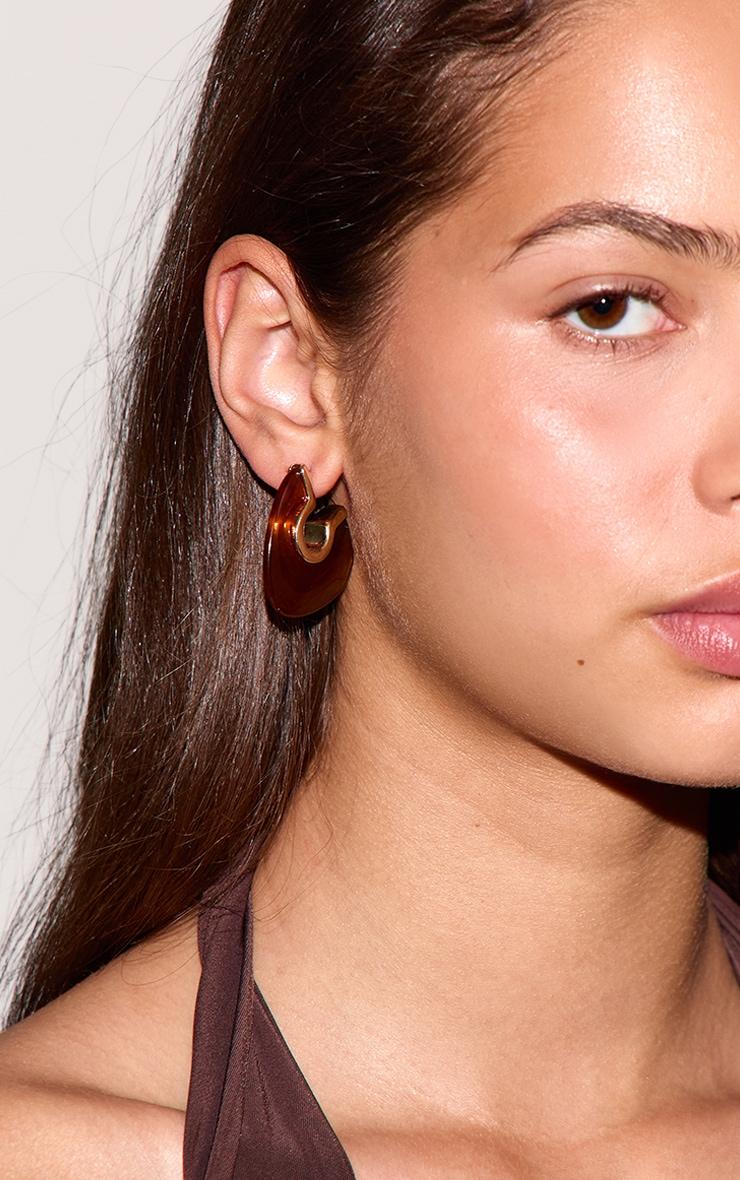 Gold Edged Smokey Brown Resin Hoop Earrings Product Image