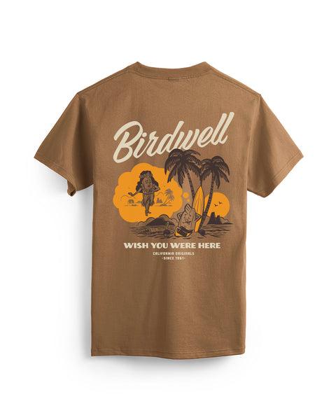 Daydreamin' Birdie T-Shirt - Brown Product Image