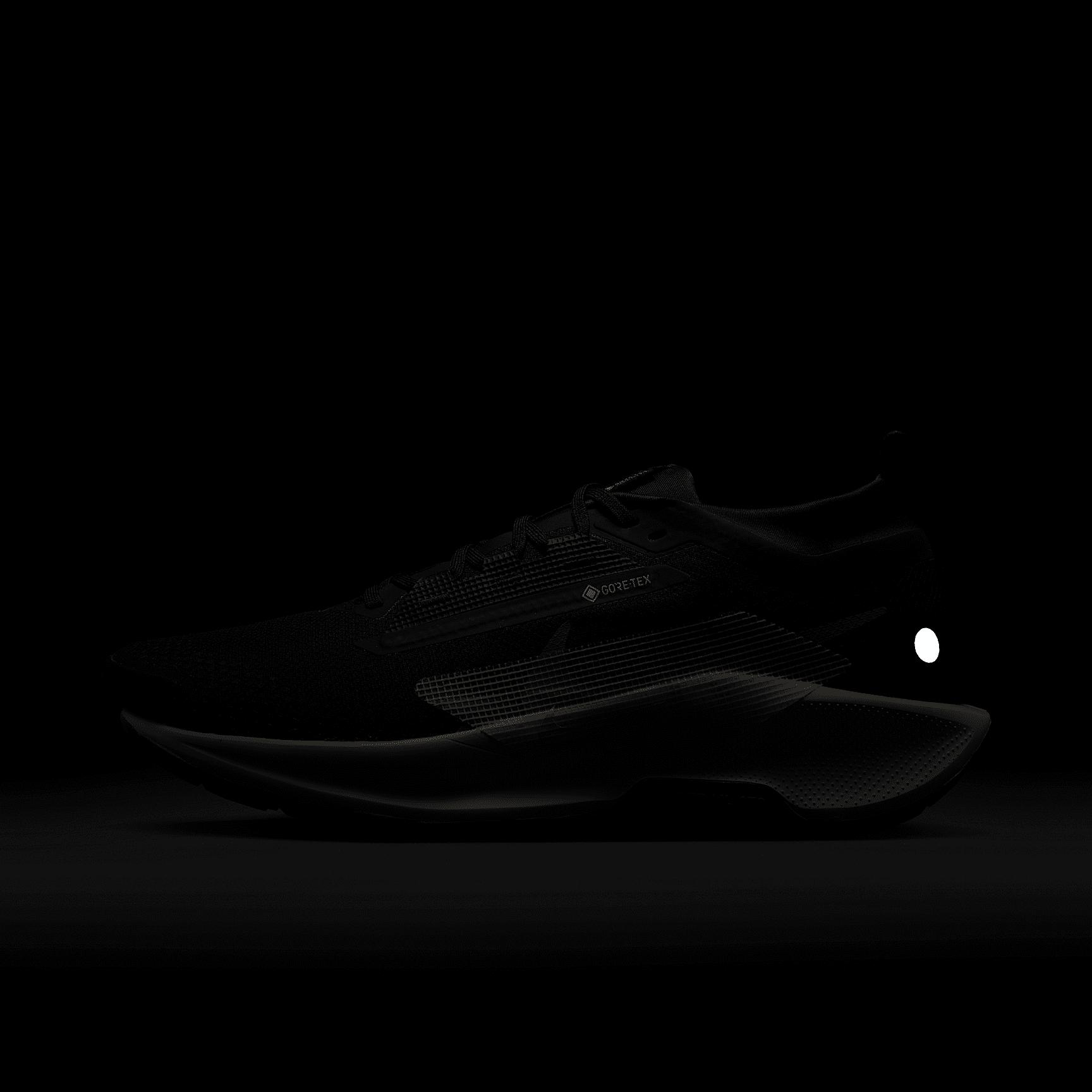 Nike Men's Pegasus Trail 5 GORE-TEX Waterproof Trail Running Shoes Product Image