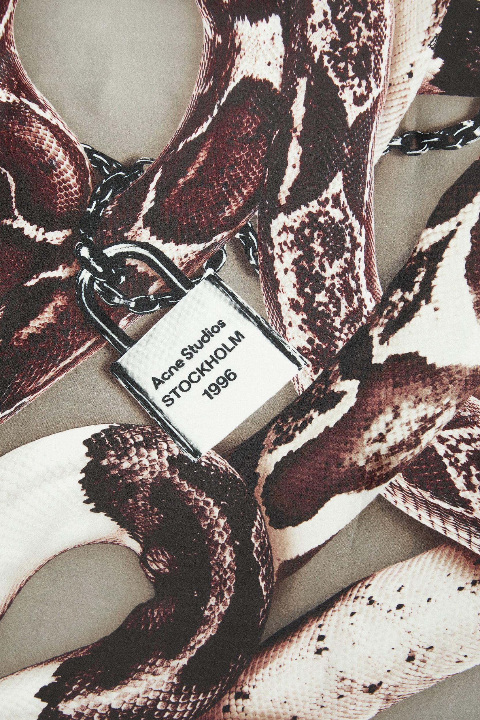 Printed silk scarf Product Image