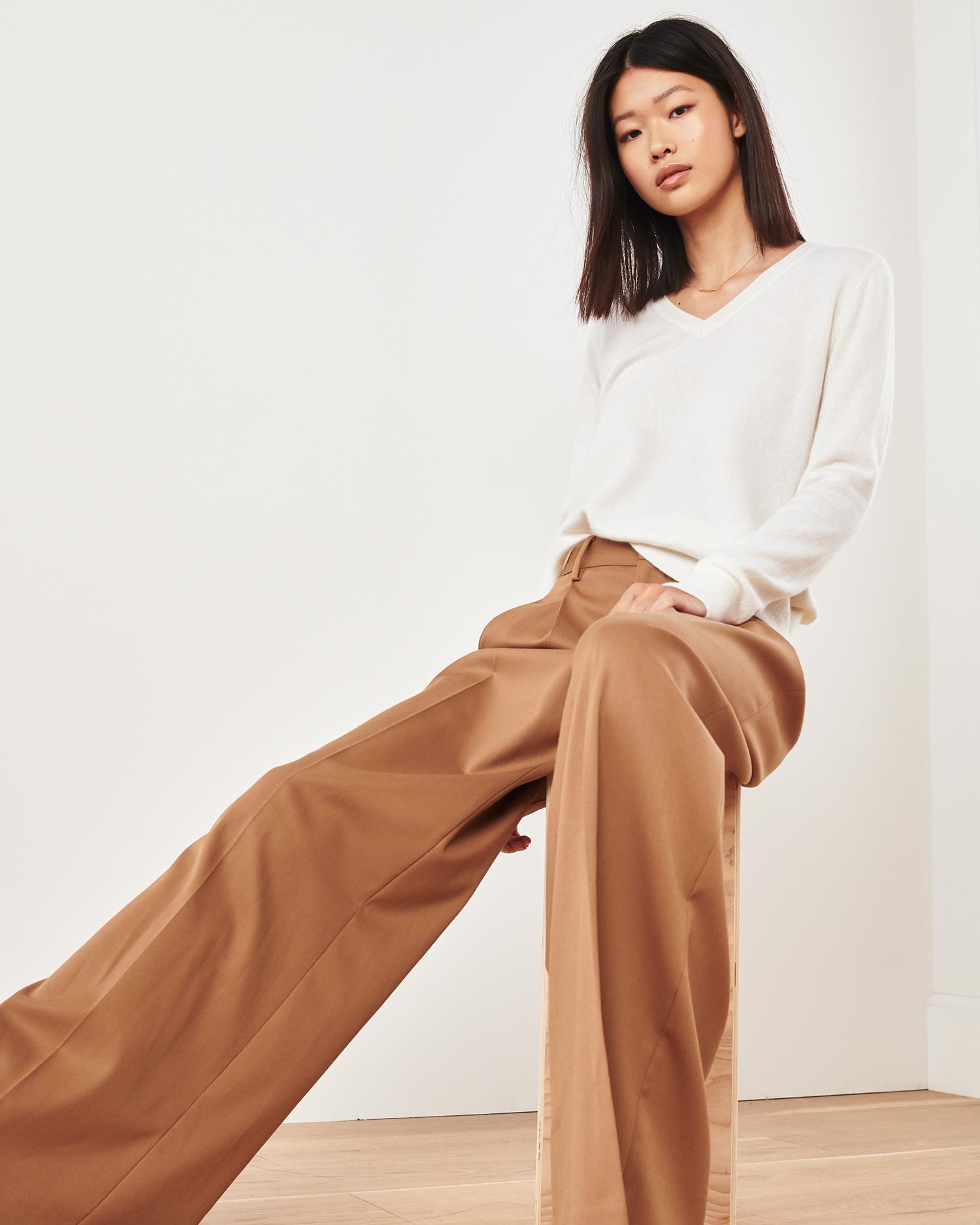 Quince | Women's Mongolian Cashmere V-Neck Sweater Size XL Product Image